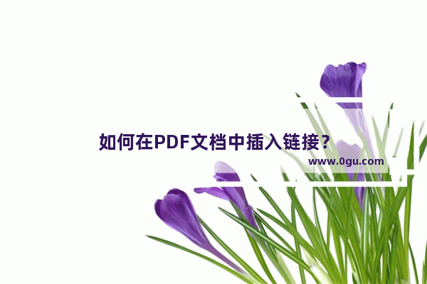 如何在PDF文档中插入链接？