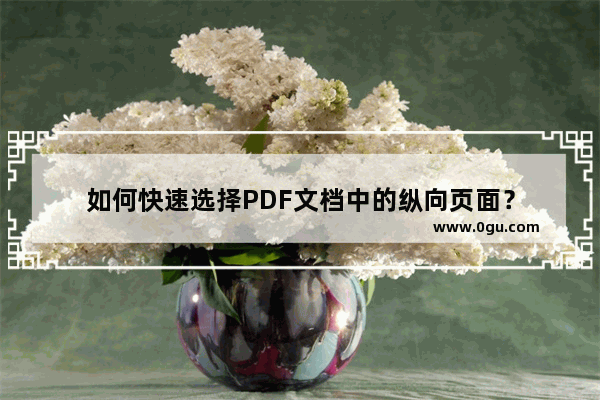 如何快速选择PDF文档中的纵向页面？