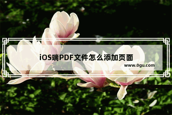 iOS端PDF文件怎么添加页面