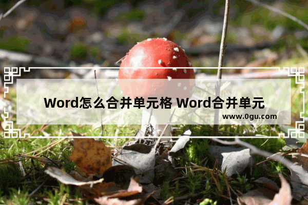 Word怎么合并单元格 Word合并单元格的方法