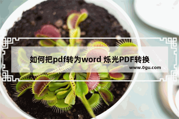 如何把pdf转为word 烁光PDF转换器把pdf转为word的方法【详解】