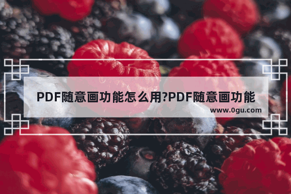 PDF随意画功能怎么用?PDF随意画功能使用教程