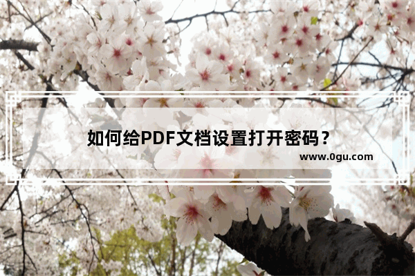 如何给PDF文档设置打开密码？