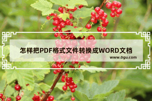 怎样把PDF格式文件转换成WORD文档