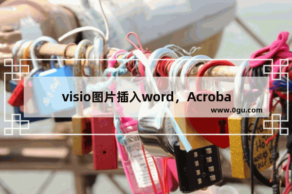 visio图片插入word，Acrobat导出pdf格式错乱