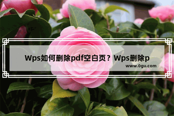 Wps如何删除pdf空白页？Wps删除pdf空白页的方法