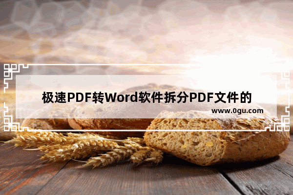 极速PDF转Word软件拆分PDF文件的方法