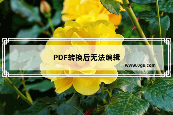 PDF转换后无法编辑