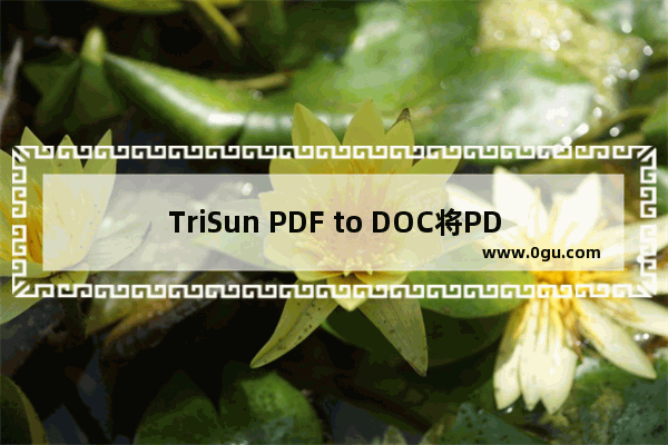 TriSun PDF to DOC将PDF文件转为Word文件的方法