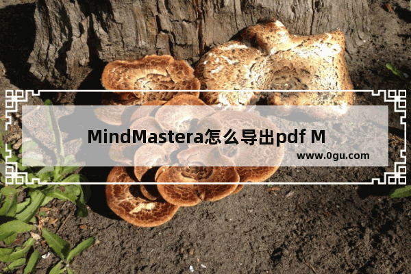 MindMastera怎么导出pdf MindMaster文件保存为pdf步骤