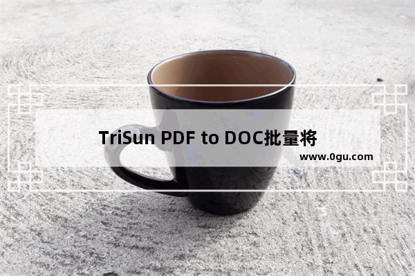 TriSun PDF to DOC批量将PDF转换成Word文件的方法