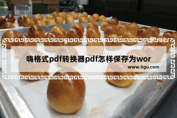 嗨格式pdf转换器pdf怎样保存为word文档 嗨格式pdf转换器pdf保存为word文档步骤