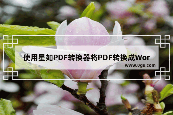 使用星如PDF转换器将PDF转换成Word文件的方法步骤