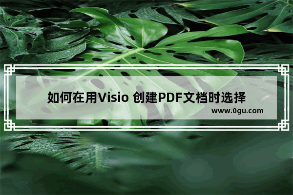 如何在用Visio 创建PDF文档时选择页的范围？