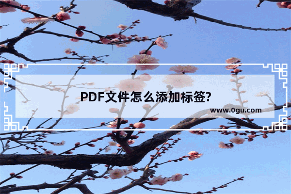 PDF文件怎么添加标签?