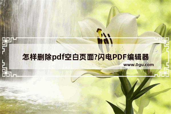 怎样删除pdf空白页面?闪电PDF编辑器可解决