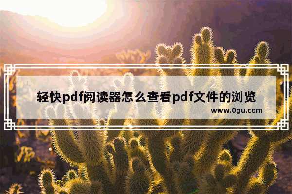 轻快pdf阅读器怎么查看pdf文件的浏览记录?