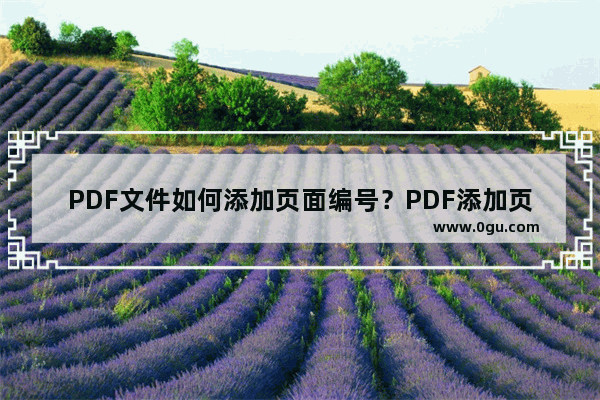 PDF文件如何添加页面编号？PDF添加页面编号教程