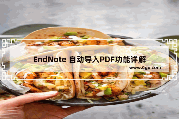 EndNote 自动导入PDF功能详解