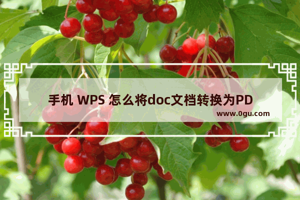 手机 WPS 怎么将doc文档转换为PDF文档