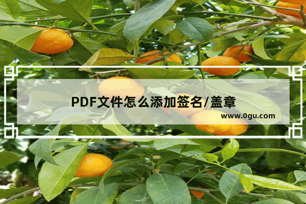 PDF文件怎么添加签名/盖章