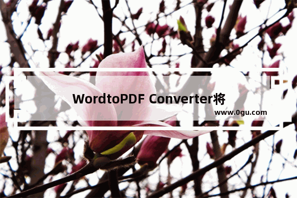 WordtoPDF Converter将Word文件转换为PDF的方法步骤