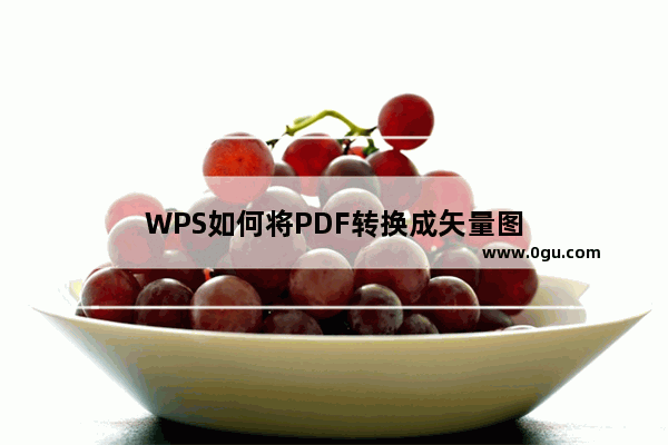 WPS如何将PDF转换成矢量图