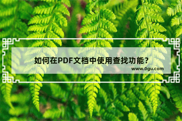 如何在PDF文档中使用查找功能？