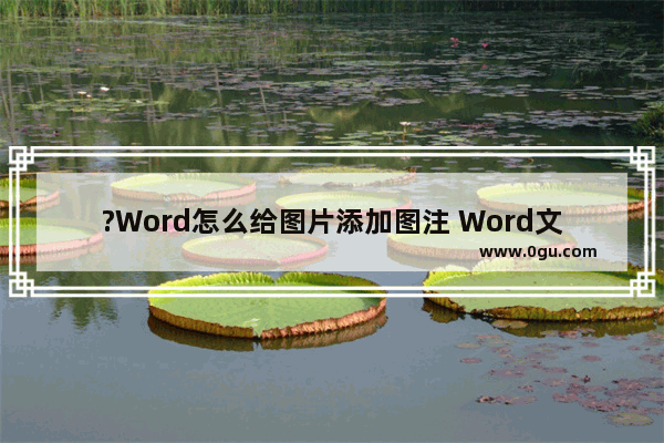 ?Word怎么给图片添加图注 Word文档中为图片添加图注的方法教程