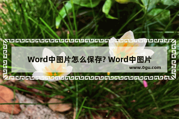 Word中图片怎么保存? Word中图片保存的方法