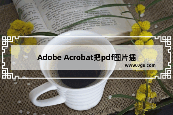 Adobe Acrobat把pdf图片插入word文档教程