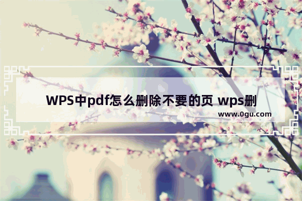 WPS中pdf怎么删除不要的页 wps删除pdf空白页教程