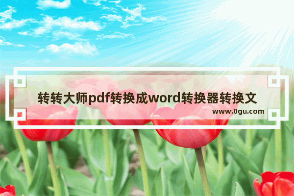 转转大师pdf转换成word转换器转换文件格式的方法