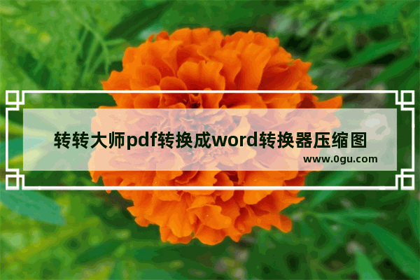 转转大师pdf转换成word转换器压缩图片的方法