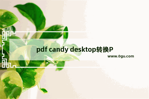 pdf candy desktop转换PDF为Word文件的方法