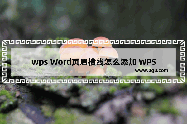 wps Word页眉横线怎么添加 WPS Word文档添加页眉横线的方法