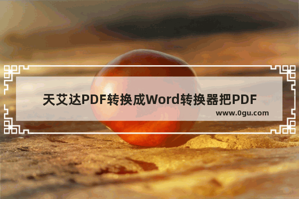 天艾达PDF转换成Word转换器把PDF转换成Word文件的方法