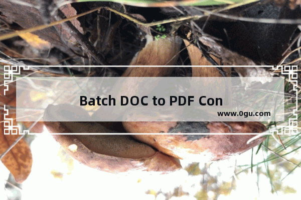 Batch DOC to PDF Converter把Word转换成PDF文件的方法