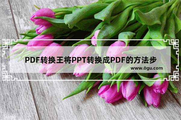 PDF转换王将PPT转换成PDF的方法步骤