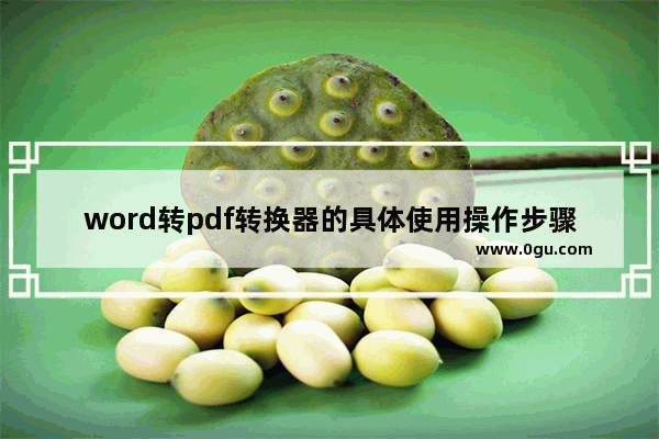 word转pdf转换器的具体使用操作步骤