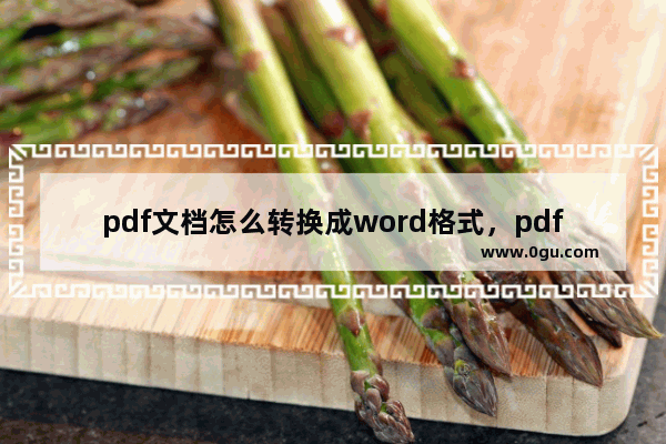 pdf文档怎么转换成word格式，pdf转word的方法