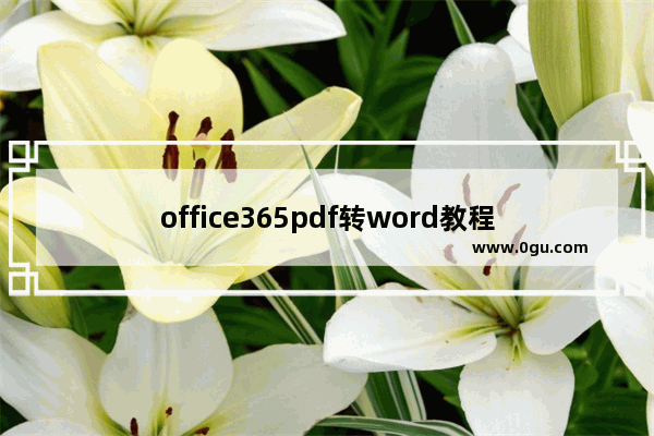 office365pdf转word教程