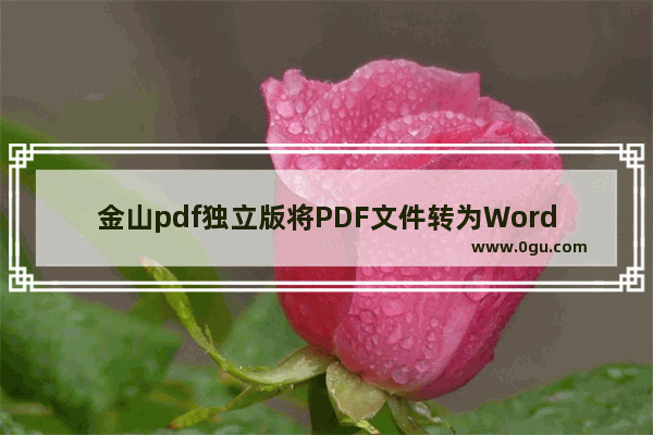 金山pdf独立版将PDF文件转为Word文件的方法