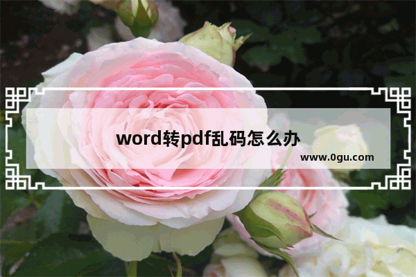 word转pdf乱码怎么办