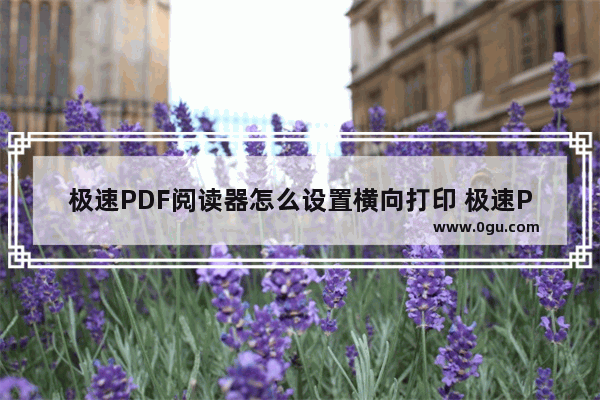 极速PDF阅读器怎么设置横向打印 极速PDF阅读器设置横向打印的方法