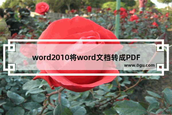 word2010将word文档转成PDF文档的简单教程