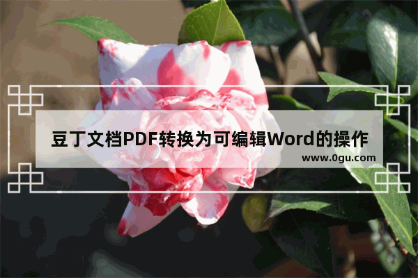 豆丁文档PDF转换为可编辑Word的操作教程