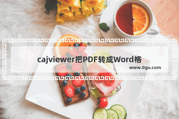 cajviewer把PDF转成Word格式的操作流程