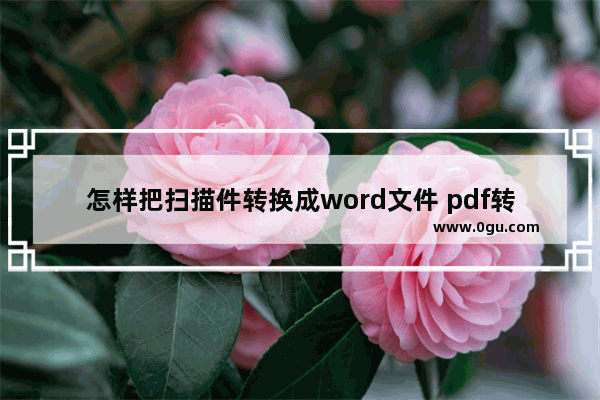 怎样把扫描件转换成word文件 pdf转word图文教程