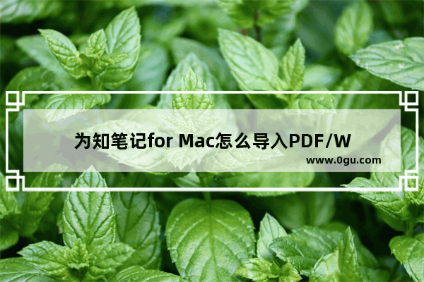 为知笔记for Mac怎么导入PDF/Word？